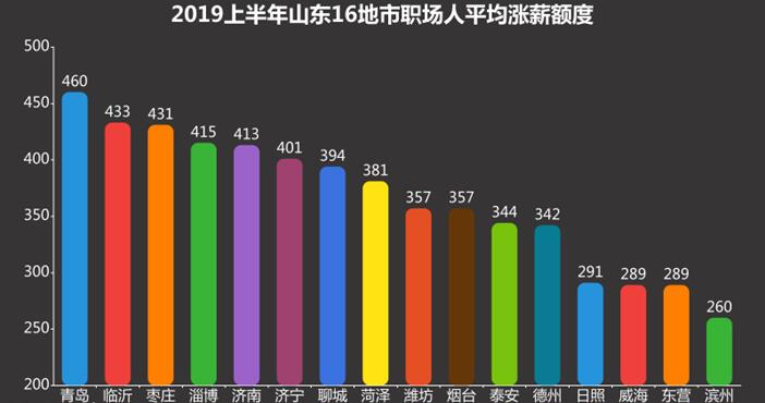 山东人社厅涨工资最新动态，深度分析与未来展望