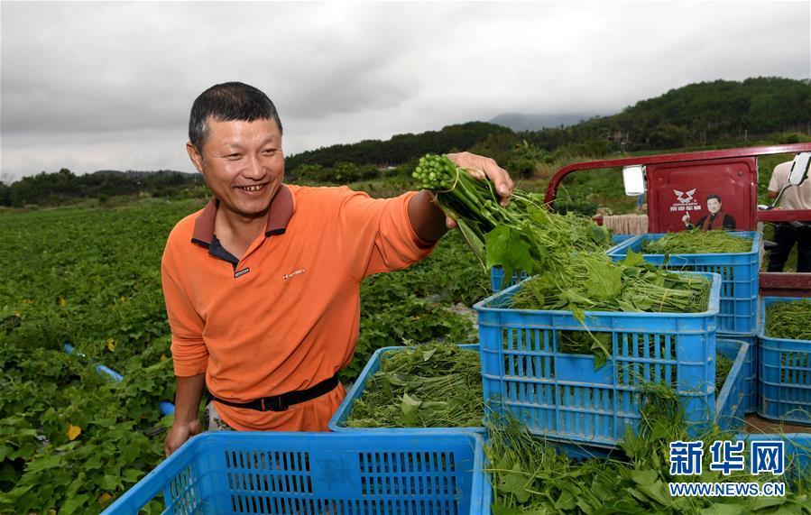 流年如花 第3页